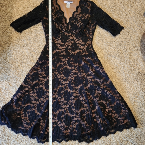 CAbi Lace Illusion Cocktail Dress Size  Small Colors Black and Nude - Picture 6 of 12